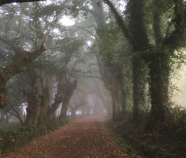 Morning stillness in the Spain trail